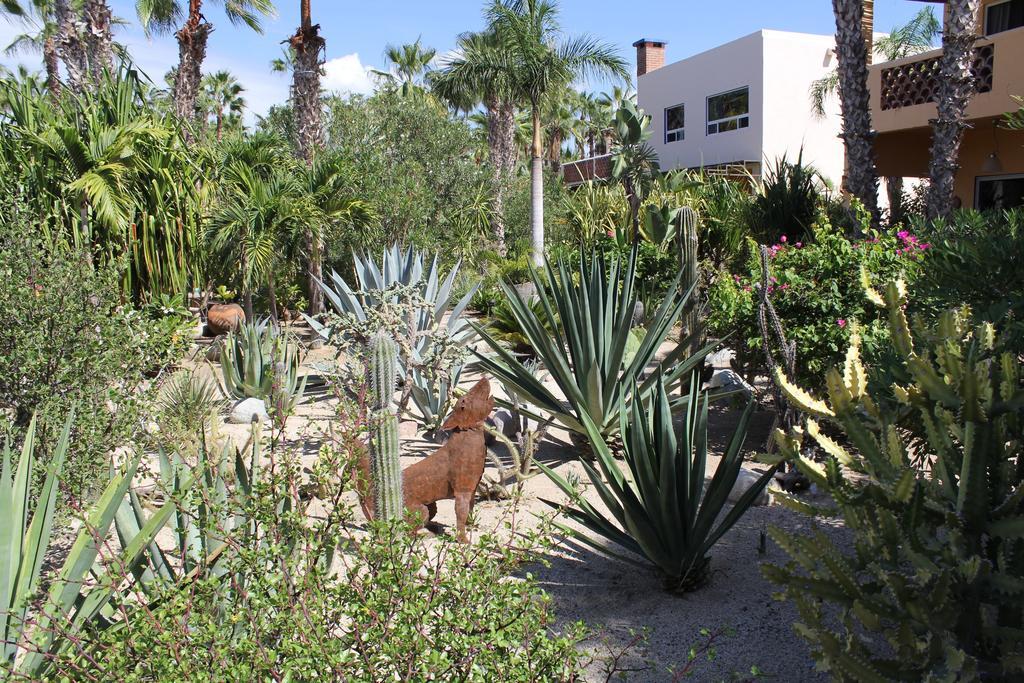 Hotel Posada La Poza Todos Santos Exteriér fotografie
