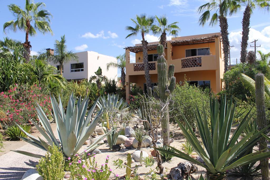 Hotel Posada La Poza Todos Santos Exteriér fotografie