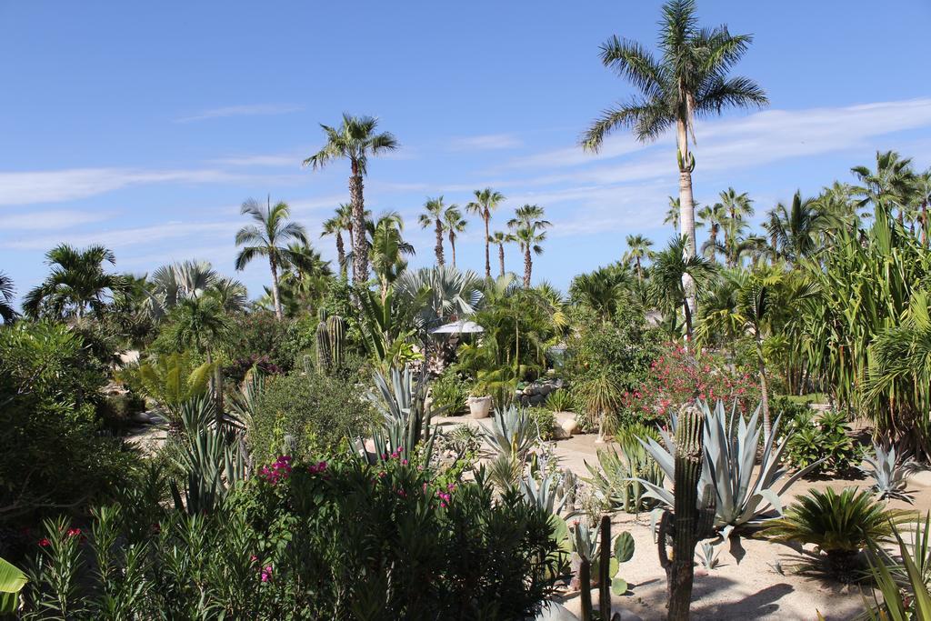 Hotel Posada La Poza Todos Santos Exteriér fotografie