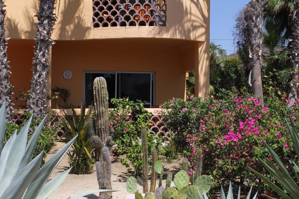 Hotel Posada La Poza Todos Santos Pokoj fotografie