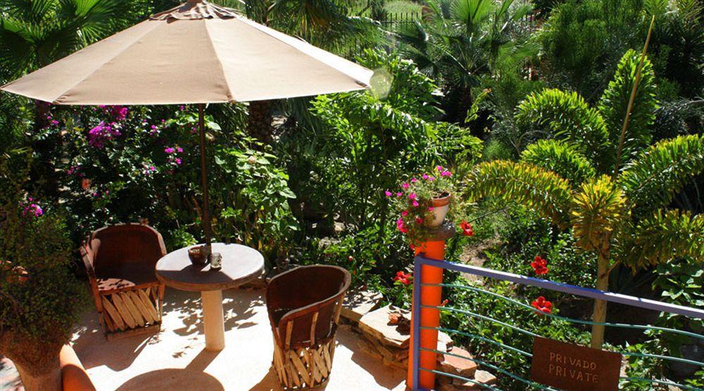 Hotel Posada La Poza Todos Santos Exteriér fotografie