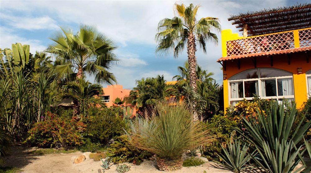 Hotel Posada La Poza Todos Santos Exteriér fotografie