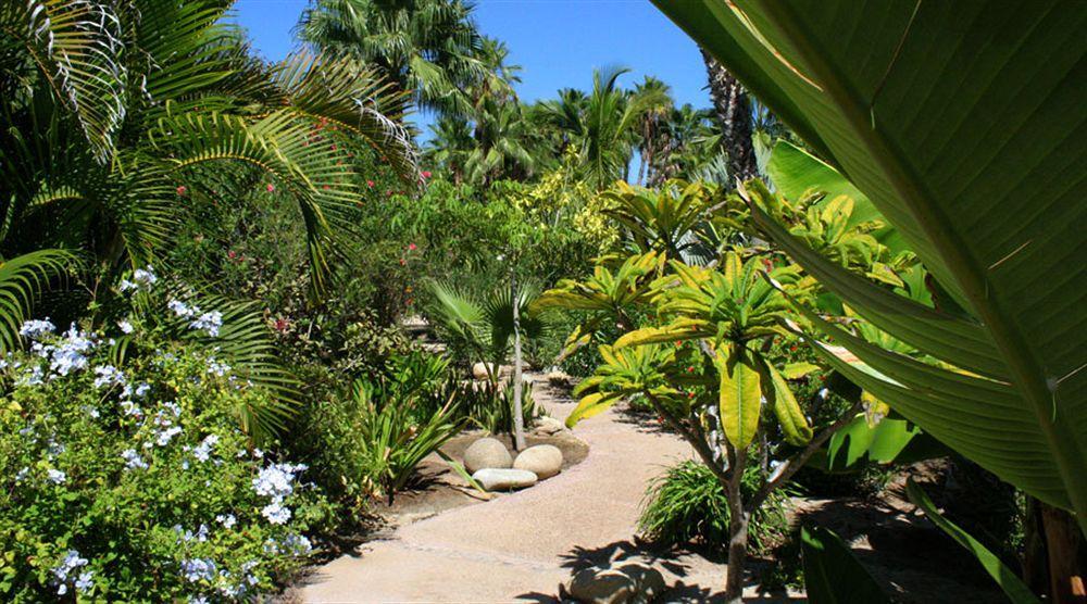 Hotel Posada La Poza Todos Santos Exteriér fotografie