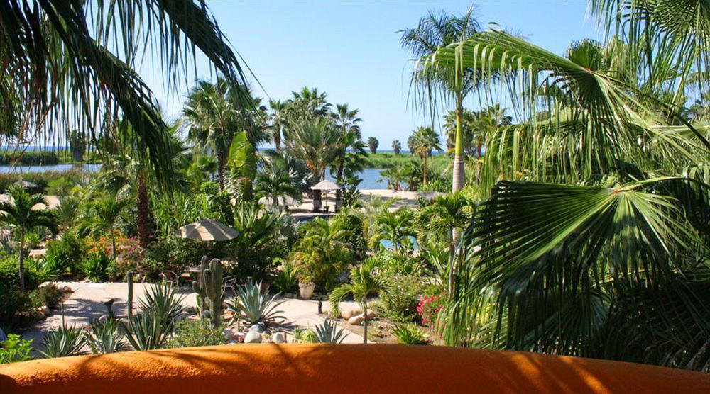 Hotel Posada La Poza Todos Santos Exteriér fotografie