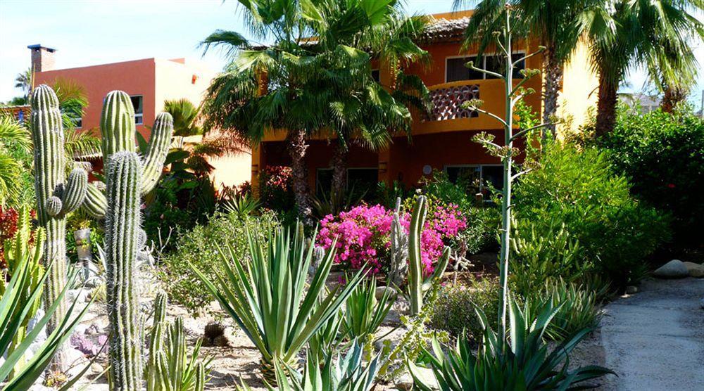 Hotel Posada La Poza Todos Santos Exteriér fotografie